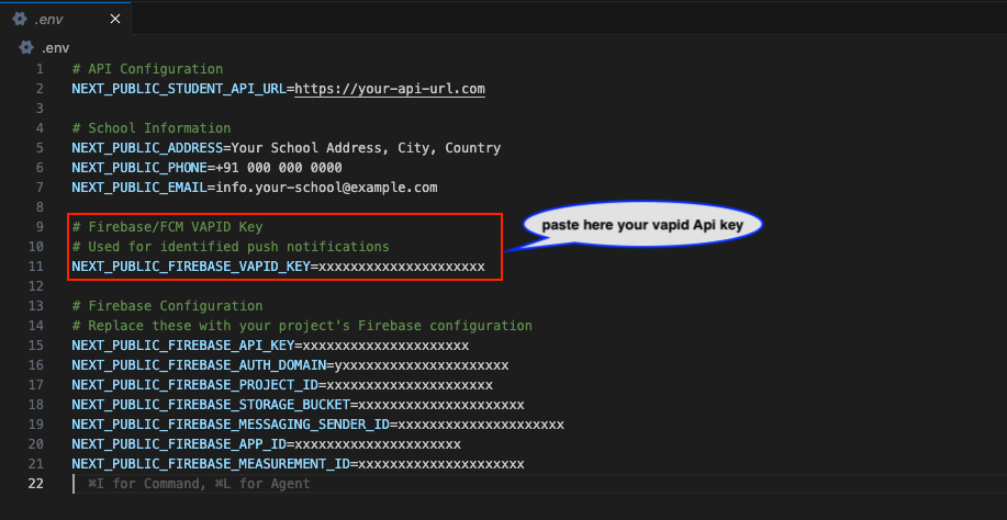 Firebase VAPID Key