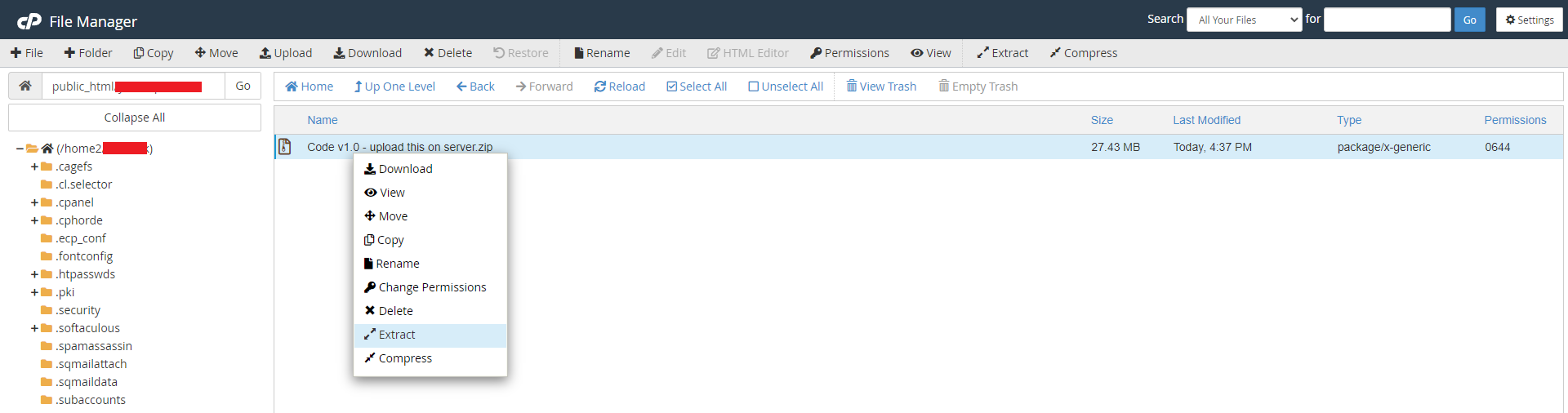 Extract Zip File